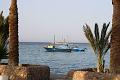 egypt (13)
